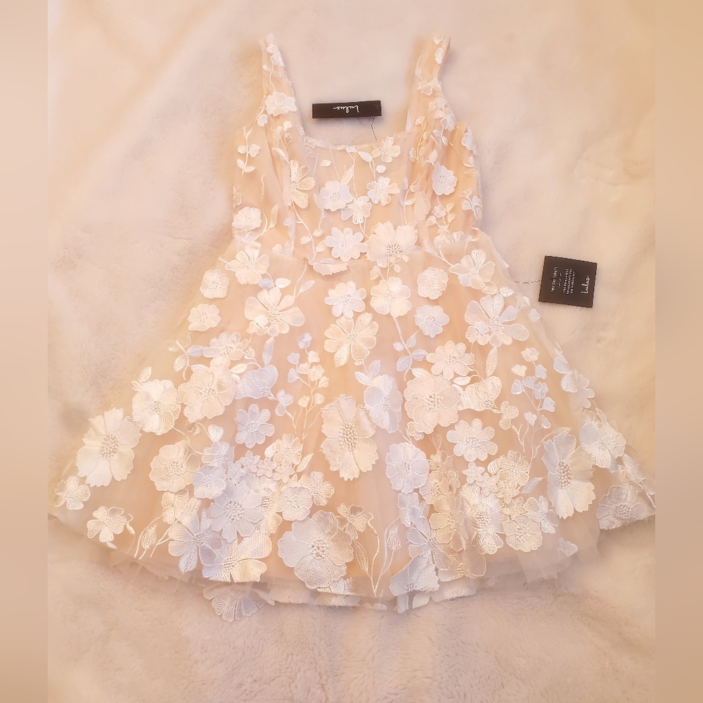 New Lulus Divine Intentions 3D Floral Embroidered Skater Dress Size Small - Picture 5 of 14